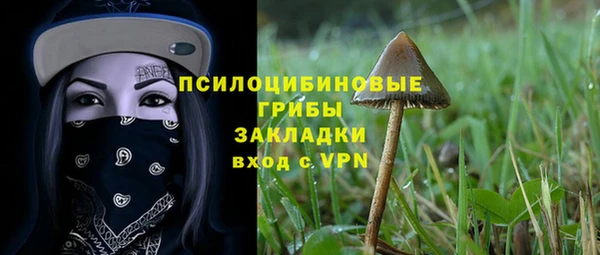 дживик Нефтекумск