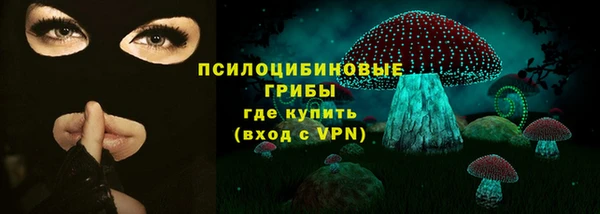 гидра Новокубанск