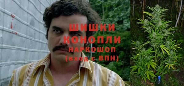 амфетамин Новодвинск