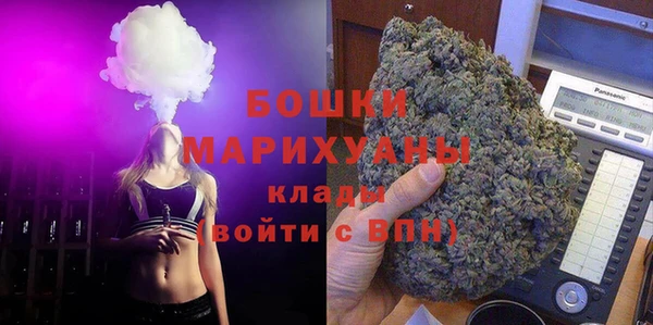 mix Богородицк