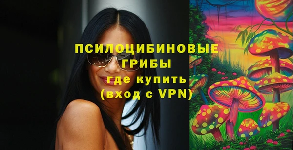 гидра Новокубанск