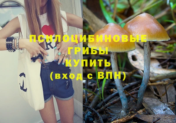 гидра Новокубанск