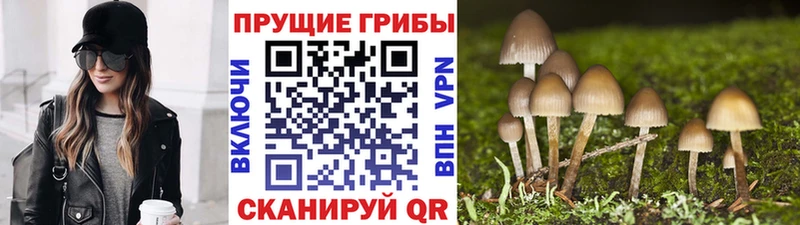 Галлюциногенные грибы Psilocybine cubensis  что такое наркотик  ОМГ ОМГ ONION  darknet формула  Каменка 