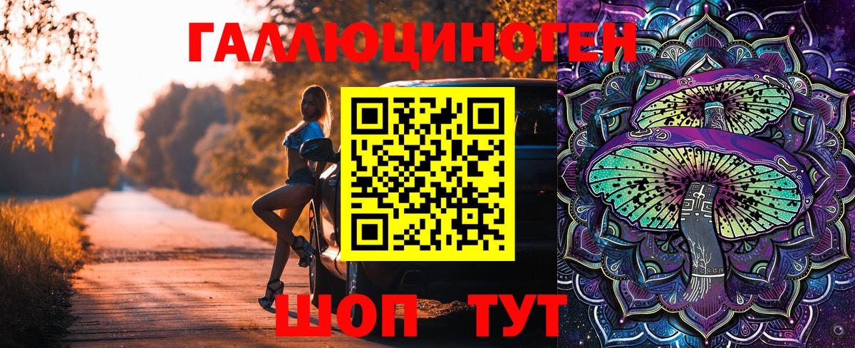 Галлюциногенные грибы Psilocybine cubensis  Вход с VPN  Каменка 