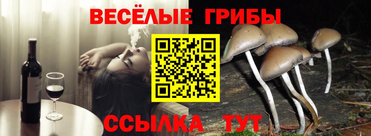 Галлюциногенные грибы ЛСД  Галлюциногенные грибы Psilocybine cubensis  Каменка 